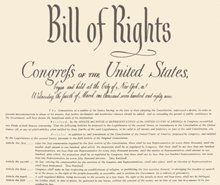 Den amerikanske forfatnings Bill of Rights beskytter amerikanske statsborgeres grundlæggende frihedsrettigheder.